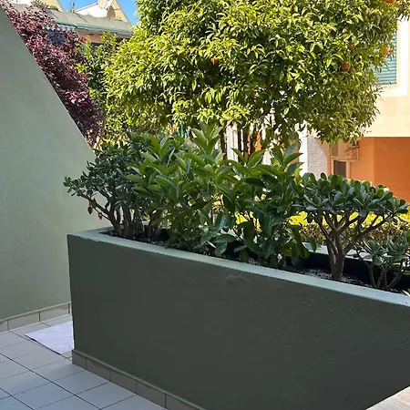 Casa “via Verde” Apartment *